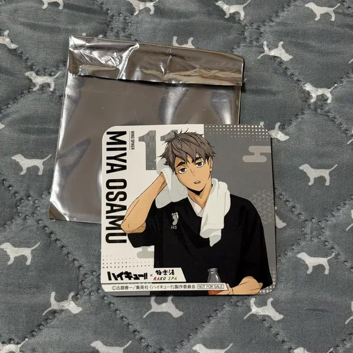 [BUNJANG] Haikyu Rakkaspa Collection Bundle / 하이큐 라쿠스파 파샤, 코스터 지류 일괄
