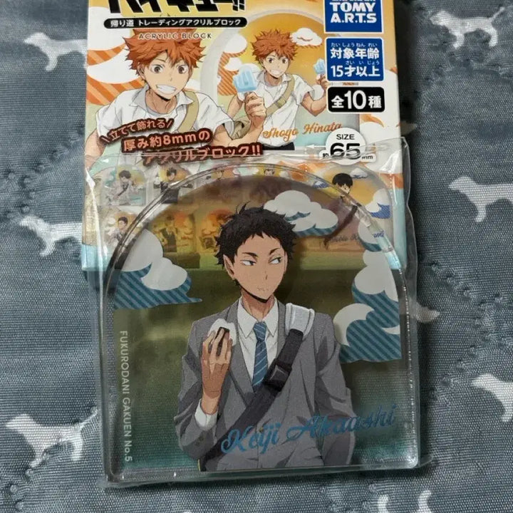 [BUNJANG] Haikyuu Akaashi After School Acrylic Block / 하이큐 아카아시 방과후 아크릴 블럭 미개봉