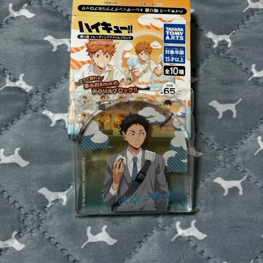 [BUNJANG] Haikyuu Akaashi After School Acrylic Block / 하이큐 아카아시 방과후 아크릴 블럭 미개봉