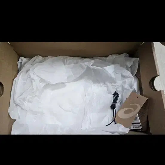 [BUNJANG] Asics Kiko UB6-S GT-2160 Sneakers / [265] 아식스 키코 UB6-S GT-2160 맨틀 그린 그레이프