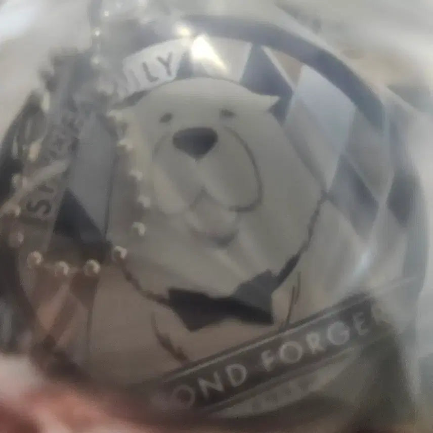 [BUNJANG] Spy x Family Bond Forger Slide Mirror / 스파이 패밀리 본드 포저 슬라이드 미러