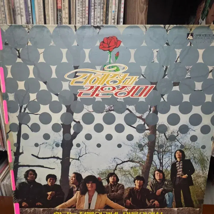 [BUNJANG] Kim Hye-jung &amp; Black Rose LP Vinyl Record / 김혜정과 검은장미 LP 음반