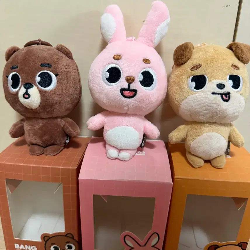 [BUNJANG] Day6 Denimalz Bundle Set / 데이식스 데니멀즈 일괄