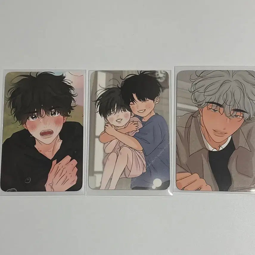 [BUNJANG] Toonique Scent of Boundary Question Photocard Bundle Set / 일괄) 투니크 향의경계 질문포카 원가이하 양도