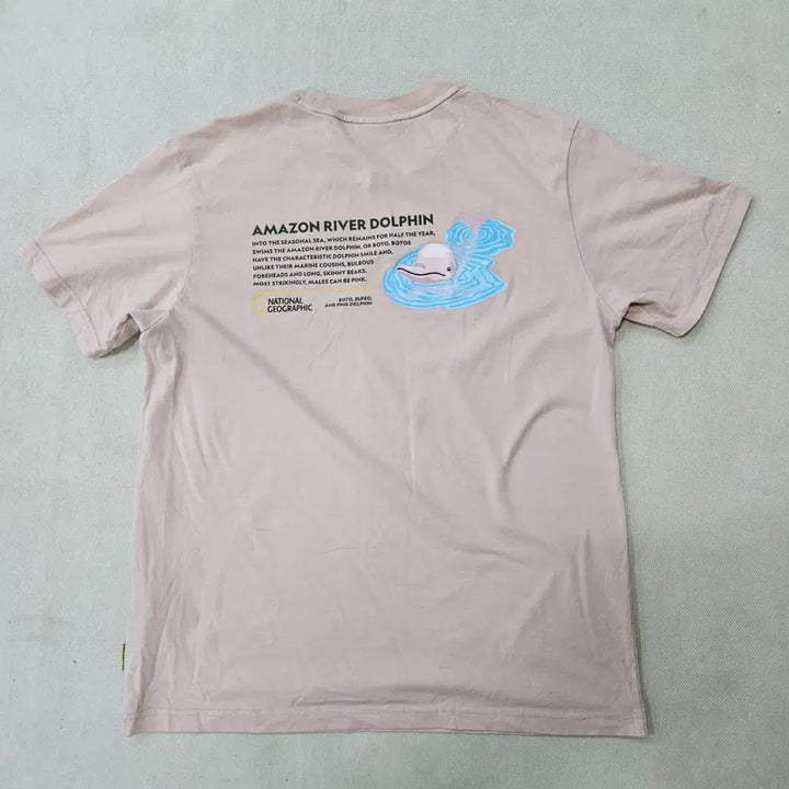 [BUNJANG] National Geographic Graphic T-shirt / XL 네셔널지오그래픽 그래픽 반팔 티셔츠 0313Y