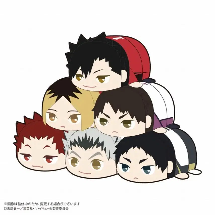 [BUNJANG] Haikyuu! Tendo Satori Mascot Plush / 하이큐 포테코로 마스코트 2탄 모찌마스 텐도