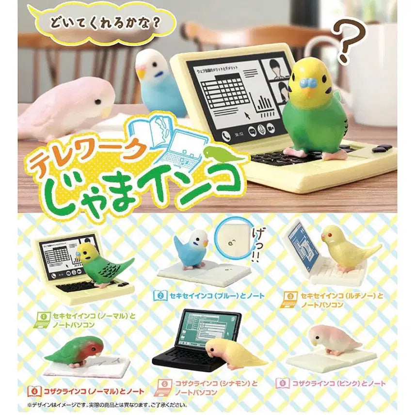 [BUNJANG] Telework Disturbing Budgie Gacha Capsule Toy (10) / 텔레워크 방해 잉꼬 앵무새 가챠 캡슐토이 (10)