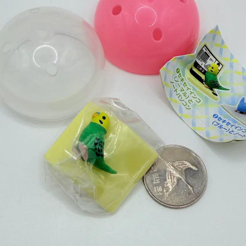 [BUNJANG] Telework Disturbing Budgie Gacha Capsule Toy (10) / 텔레워크 방해 잉꼬 앵무새 가챠 캡슐토이 (10)