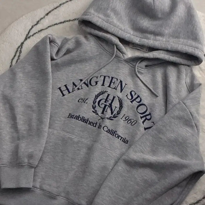 [BUNJANG] Hang Ten Sport Gray Hoodie / 행텐 스포츠 그레이 후드티