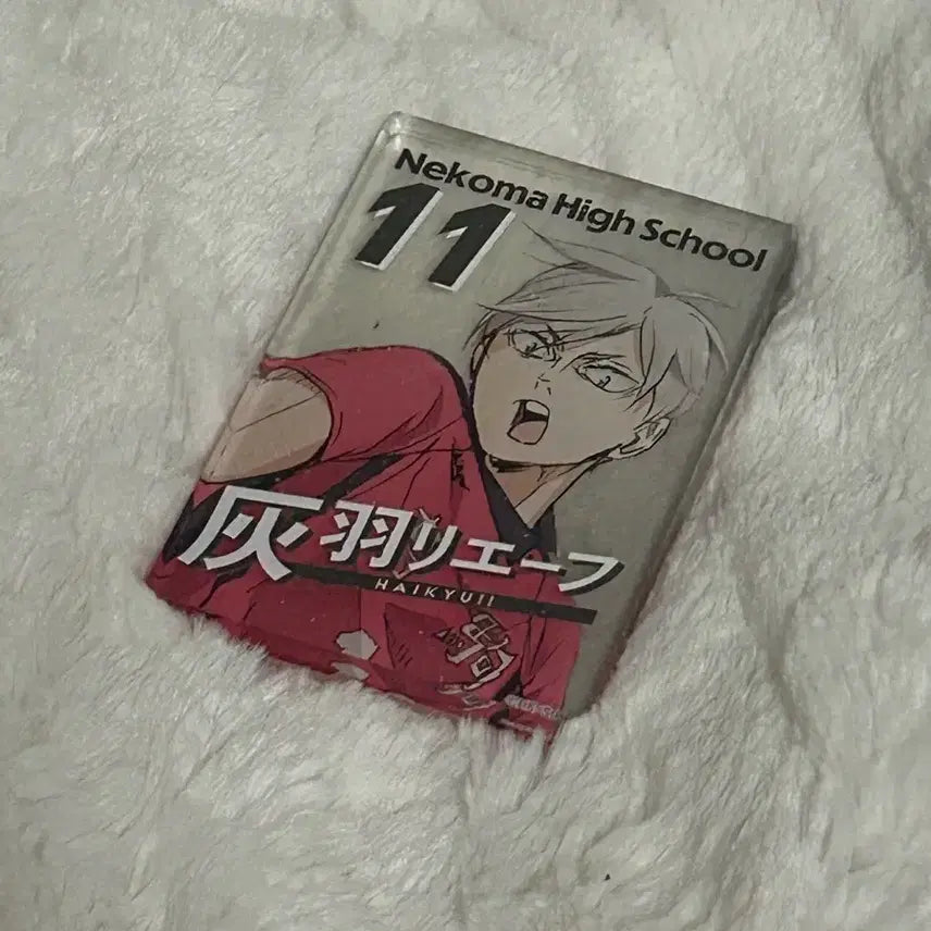 [BUNJANG] Haikyuu Haiba Lev Acrylic Block / 하이큐 아크릴블럭 하이바리에프