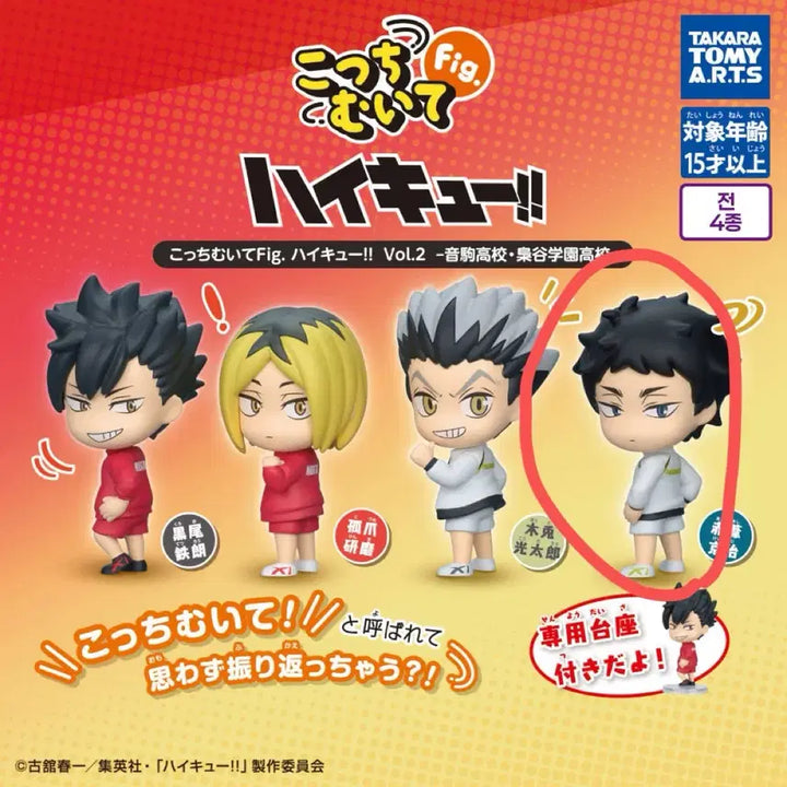 [BUNJANG] Haikyuu Akaashi Figure Unsealed / 하이큐 뒤돌아봐요 아카아시 미개봉