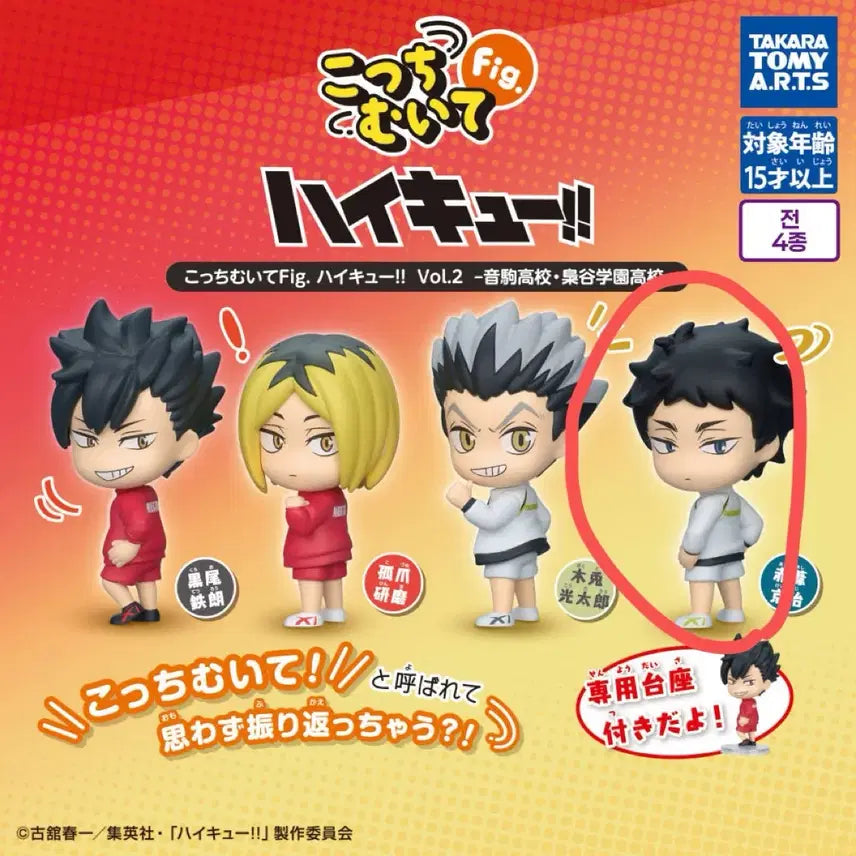 [BUNJANG] Haikyuu Akaashi Figure Unsealed / 하이큐 뒤돌아봐요 아카아시 미개봉