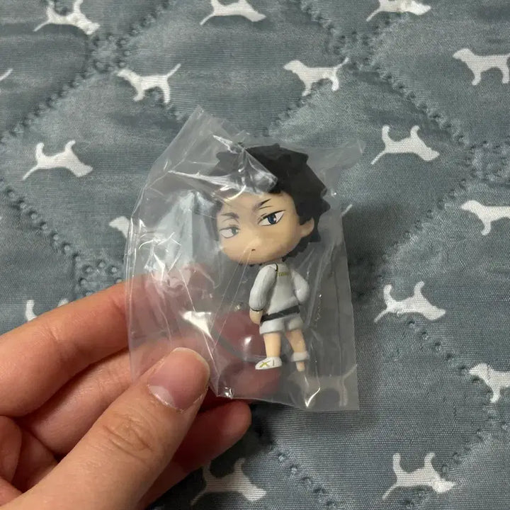 [BUNJANG] Haikyuu Akaashi Figure Unsealed / 하이큐 뒤돌아봐요 아카아시 미개봉