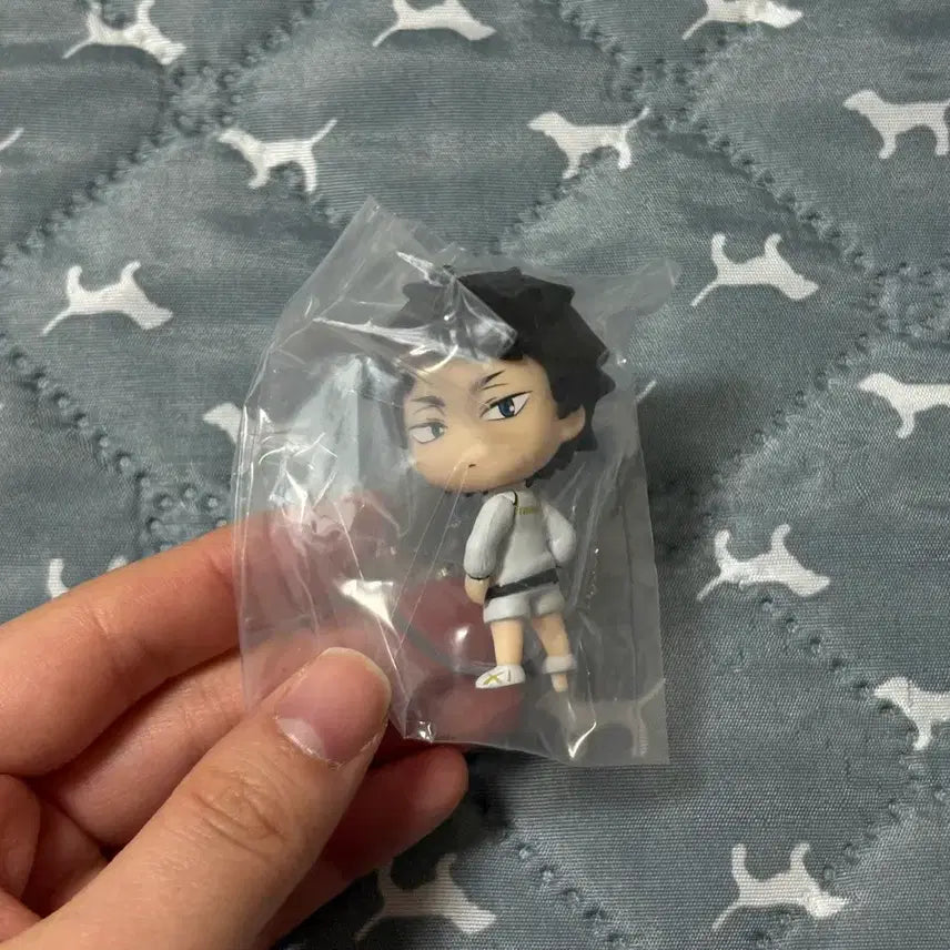 [BUNJANG] Haikyuu Akaashi Figure Unsealed / 하이큐 뒤돌아봐요 아카아시 미개봉