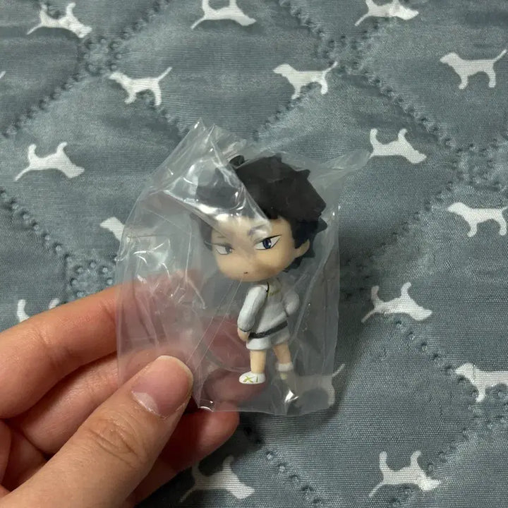 [BUNJANG] Haikyuu Akaashi Figure Unsealed / 하이큐 뒤돌아봐요 아카아시 미개봉