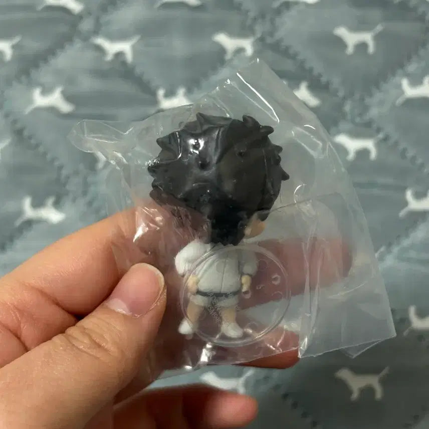 [BUNJANG] Haikyuu Akaashi Figure Unsealed / 하이큐 뒤돌아봐요 아카아시 미개봉