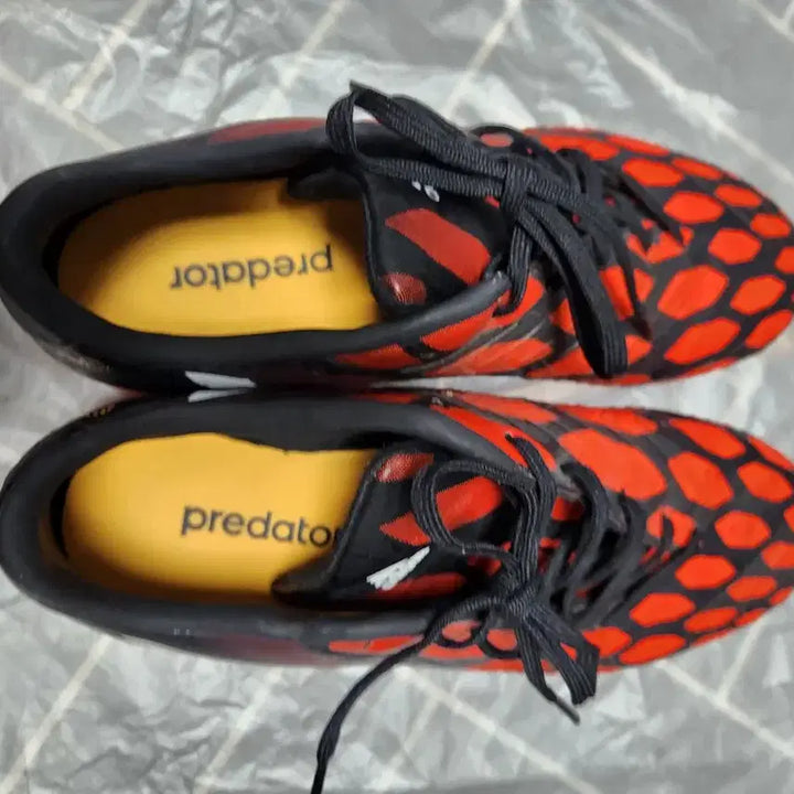 [BUNJANG] Adidas Predator Soccer Cleats (Red/Black) 245 / 마/아디다스 축구화 레드/블랙245