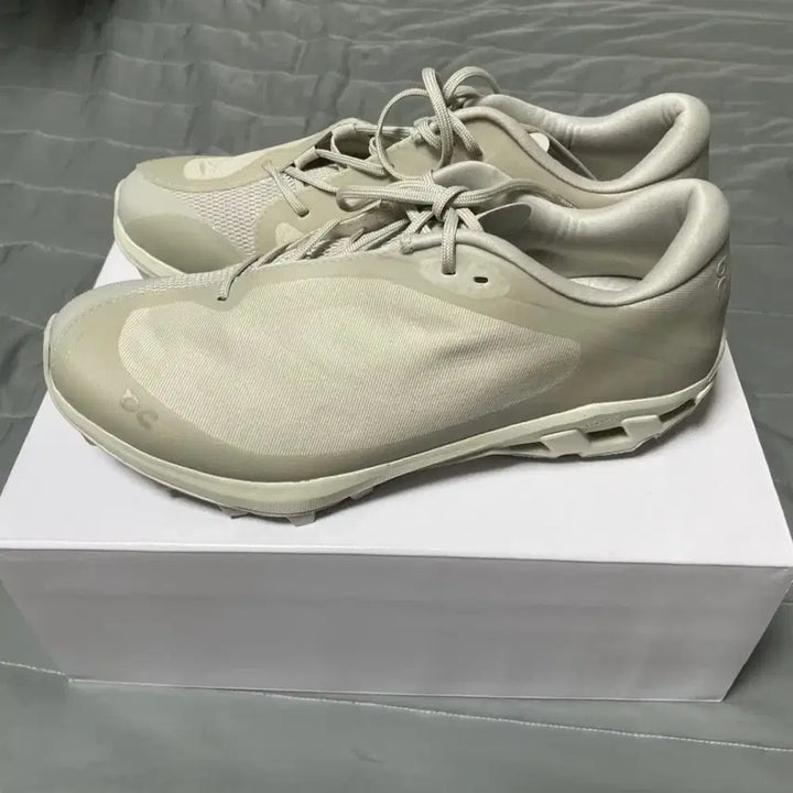 [BUNJANG] On Running x PAF Cloudventure Peak Ice Moon Sneakers / [245] 온 러닝 x 파프 클라우드벤쳐 피크 아이스문