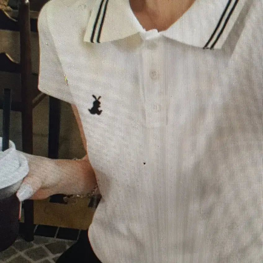 [BUNJANG] Basic Crop Short-Sleeve Polo Shirt / (해외배송)크롭 반팔 카라 티셔츠 2컬러
