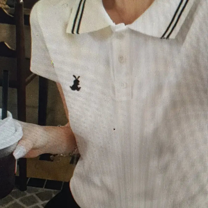 [BUNJANG] Basic Crop Short-Sleeve Polo Shirt / (해외배송)크롭 반팔 카라 티셔츠 2컬러