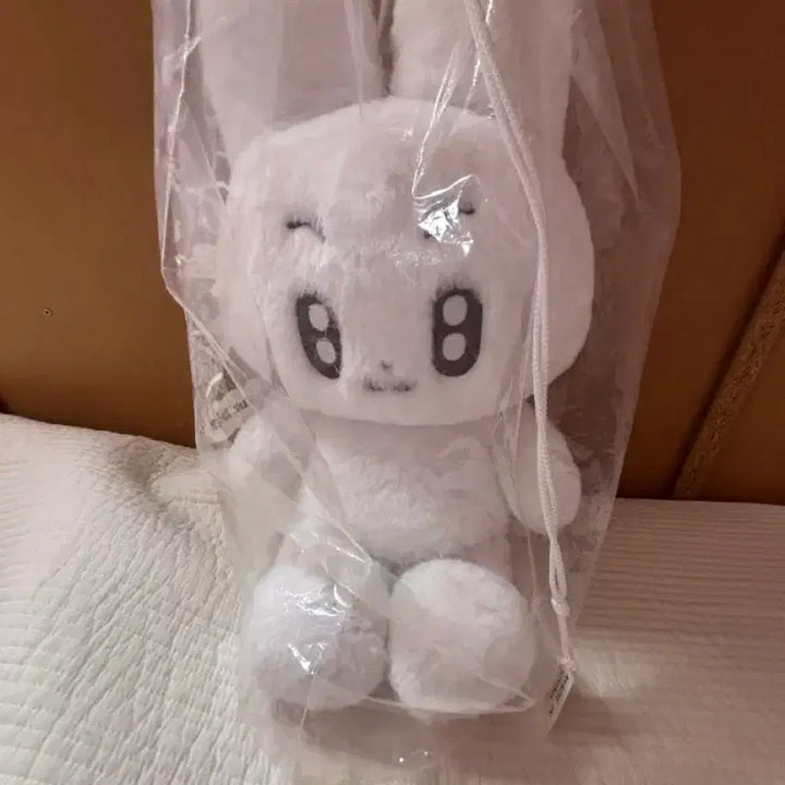 [BUNJANG] TXT Wangbini Plush Doll (Sealed) / 뽀바투 왕바투 투바투 인형 말랑빈 왕빈이 양도 (미개봉)