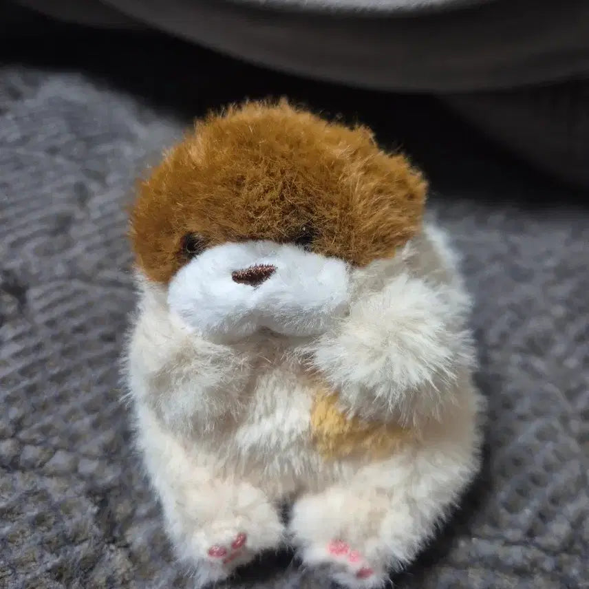[BUNJANG] UsoUso Jjang Keyring Doll / 우소우소짱 키링 인형 (새상품)