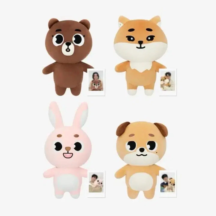 [BUNJANG] Day6 Wonpil Giant Denimals Fill Plush / 데이식스 자멀 필 자이언트데니멀즈(포카O)
