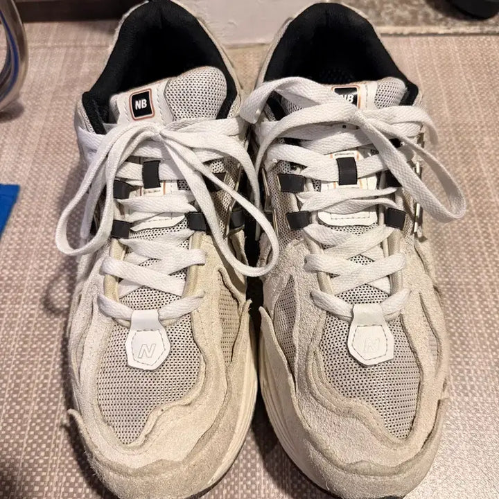 [BUNJANG] New Balance 1906 Protection Sneakers / 뉴발란스 1906 프로텍션 285