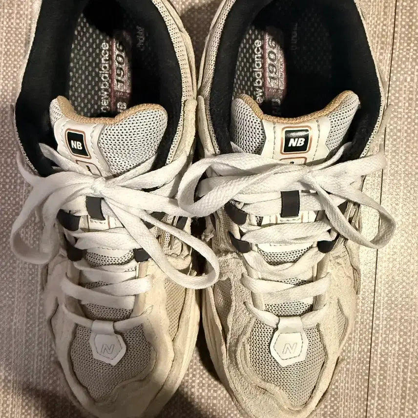 [BUNJANG] New Balance 1906 Protection Sneakers / 뉴발란스 1906 프로텍션 285