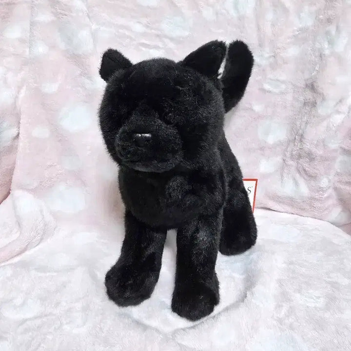 [BUNJANG] Douglas Black Panther Cat Plush Doll / 더글라스 흑표범 닮은 검은 고양이 인형 고전 빈티지 인형