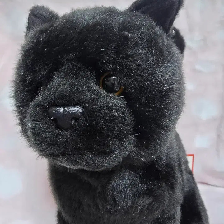 [BUNJANG] Douglas Black Panther Cat Plush Doll / 더글라스 흑표범 닮은 검은 고양이 인형 고전 빈티지 인형