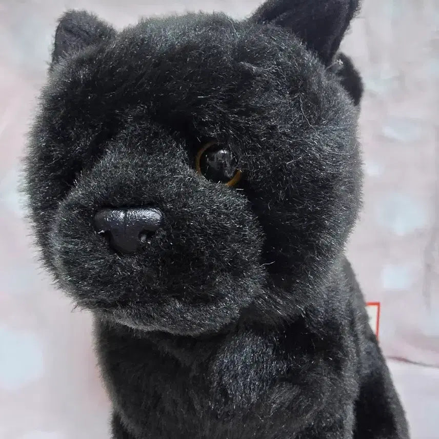 [BUNJANG] Douglas Black Panther Cat Plush Doll / 더글라스 흑표범 닮은 검은 고양이 인형 고전 빈티지 인형