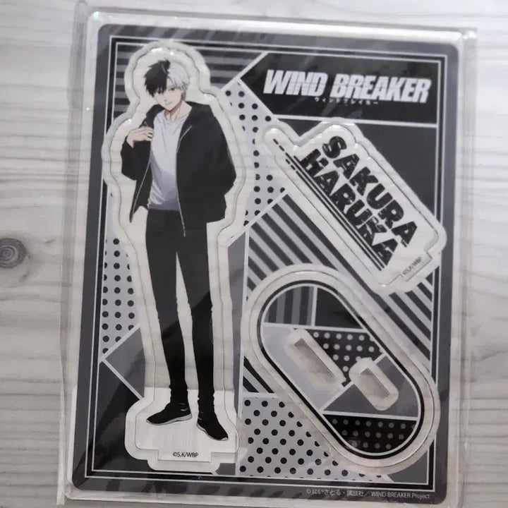 [BUNJANG] Wind Breaker Sakura Haruka Acrylic Stand / WIND BREAKER 윈브레 윈드브레이커 사쿠라 하루카 아크릴 스탠드