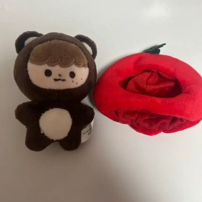 [BUNJANG] NCT Haechan Doll / 곰효기 엔시티 해찬 인형 양도
