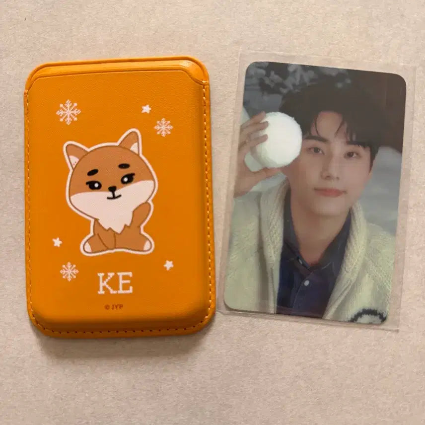 [BUNJANG] Denimalz Magnet Card Wallet / 데니멀즈 마그넷 카드지갑 케