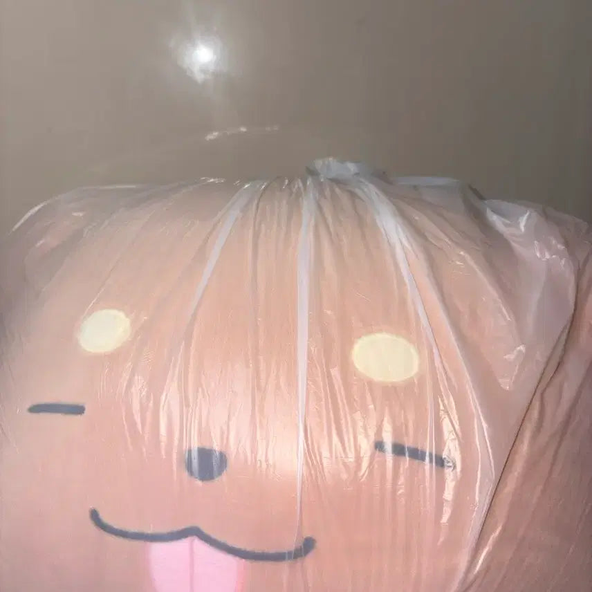 [BUNJANG] Pixel Lee Duck-gae Plush Cushion / 픽셀리 덕개 인형쿠션