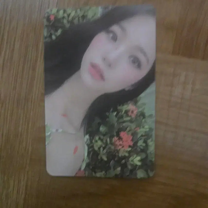 [BUNJANG] fromis_9 Lee Saerom Photocard / (판매)프로미스나인포카