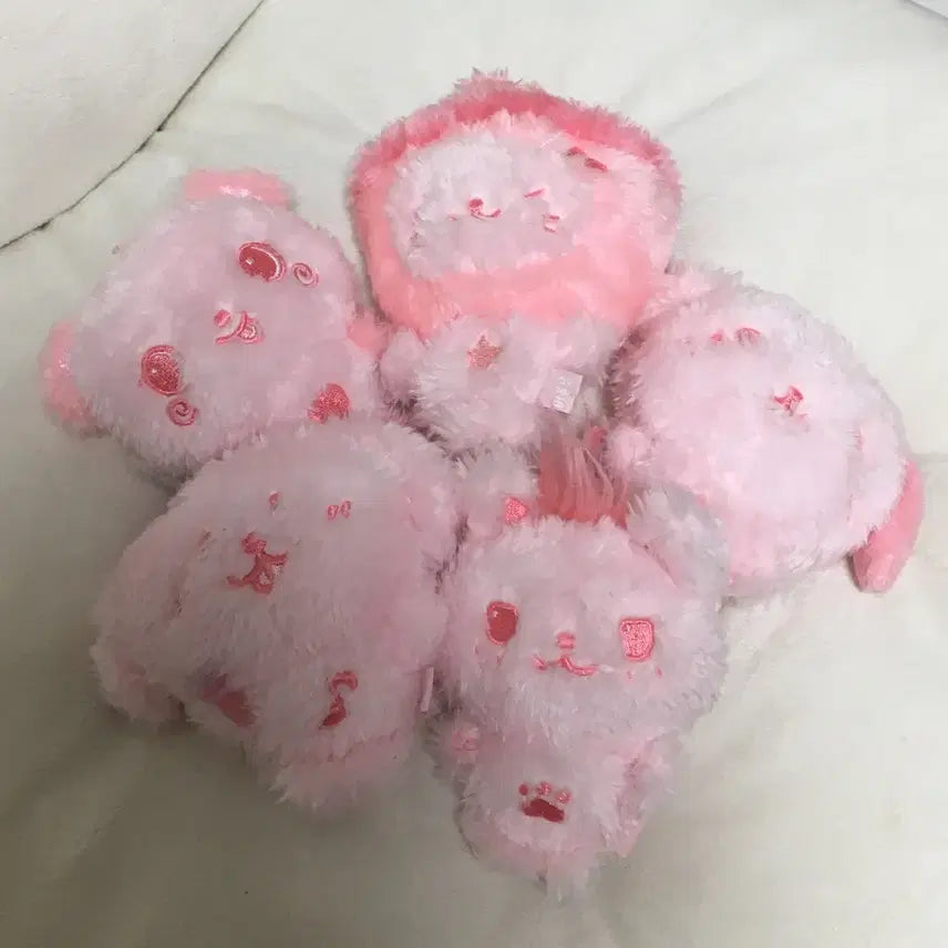 [SOLD OUT] 엔시티위시 컬러위시돌 핑크 일괄 댕트 버블냥 룐룐 팡이 시오닝