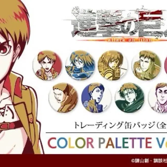 [BUNJANG] AMNIBUS Attack on Titan Levi Badge / AMNIBUS 진격의 거인 진격거 리바이 뱃지