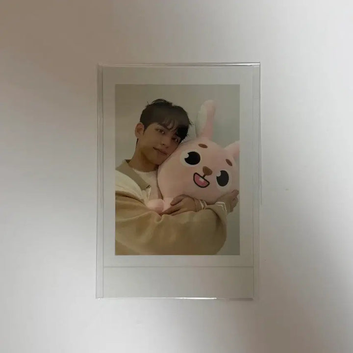 [BUNJANG] Day6 Jae &amp; Wonpil Giant Denimals Photocard / 데이식스 자이언트 데니멀즈 자멀 원필 포카