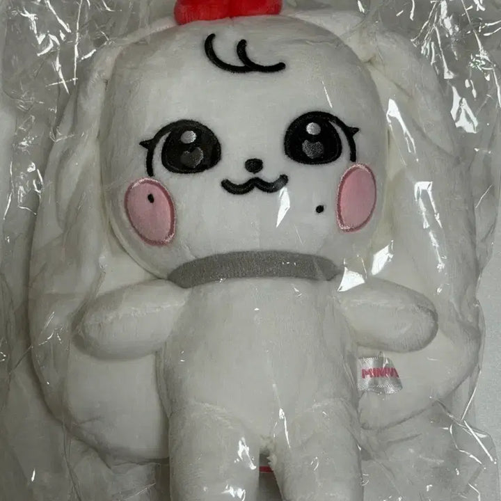 [SOLD OUT] 아이브 미니브 오리지널 플래시 체리