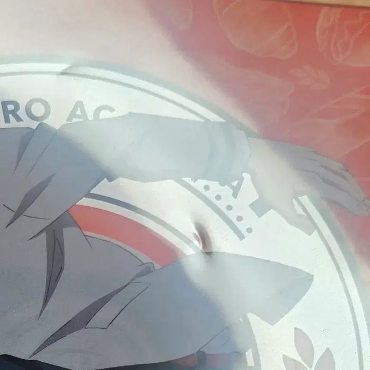 [BUNJANG] My Hero Academia Katsuki Bakugo L-Folder Bundle Set / 일괄) 히로아카 나히아 바쿠고 카츠키 L자 파일 나의 히어로 아카데미아