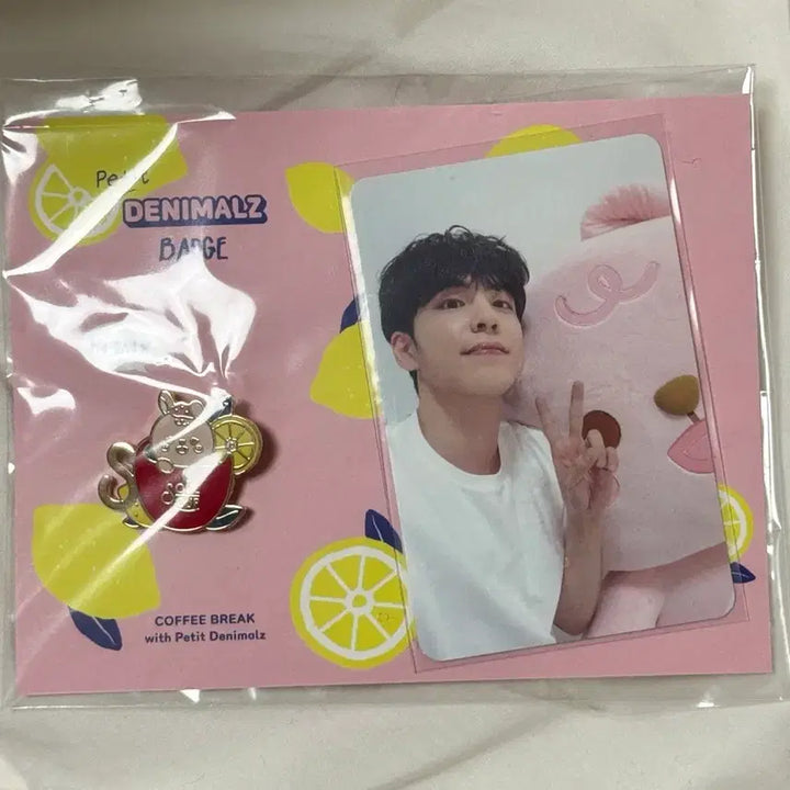 [SOLD OUT] 데이식스 원필 소울컵 뱃지 이븐오브데이 쁘띠멀즈 뱃지