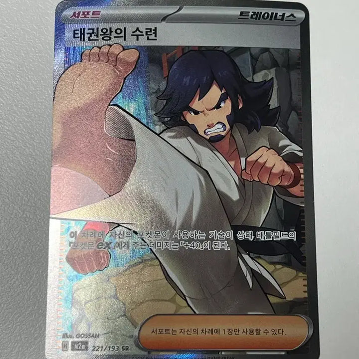 [BUNJANG] Pokemon Taekwon King&