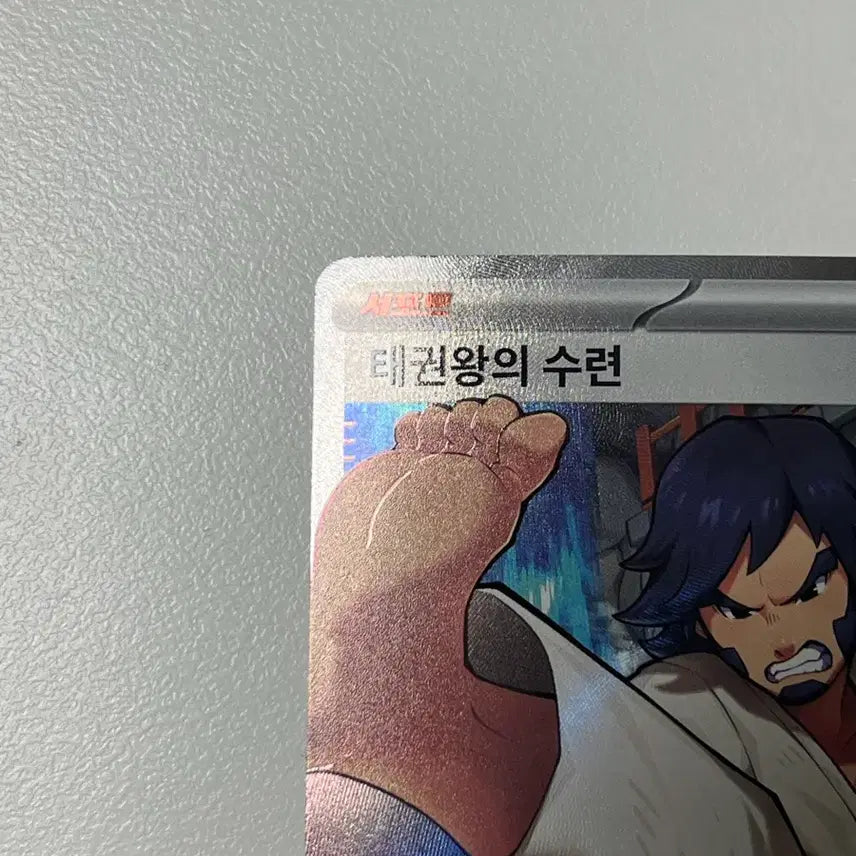 [BUNJANG] Pokemon Taekwon King&