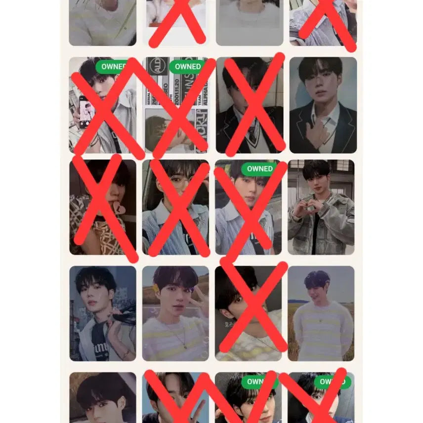 [BUNJANG] Alpha Drive One Junseo Photocard Bundle Set / 알파드라이브원 알디원 포카 일괄 양도 (준서로 교환 가능)