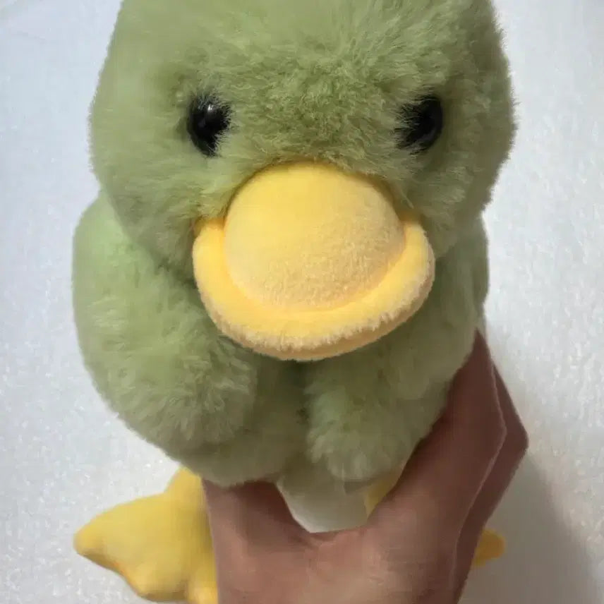 [BUNJANG] Creamy Duck Green Duck Plush Toy 28cm / 크리미덕 봉제인형/ 중형/ 28cm /초록색 오리 인형/주인을찾습니다