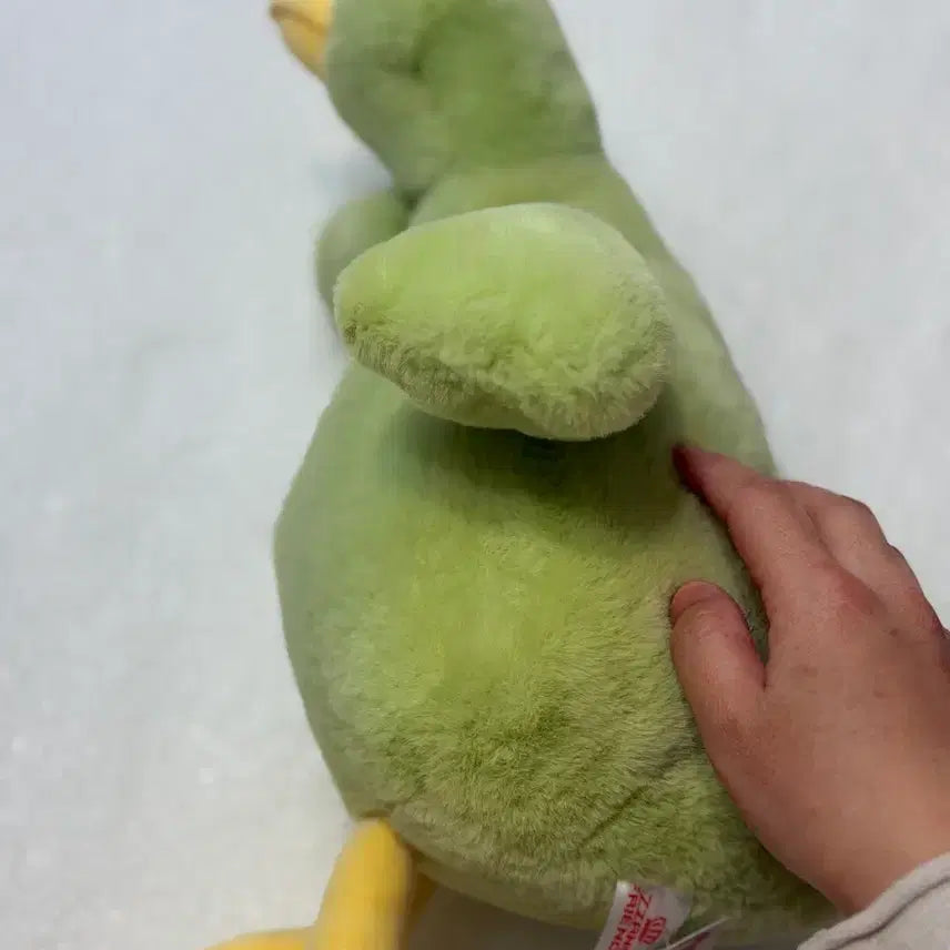 [BUNJANG] Creamy Duck Green Duck Plush Toy 28cm / 크리미덕 봉제인형/ 중형/ 28cm /초록색 오리 인형/주인을찾습니다