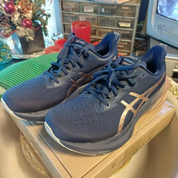 [SOLD OUT] 아식스 노바블라스트4 플래티넘블루 익스팬스 로즈골드