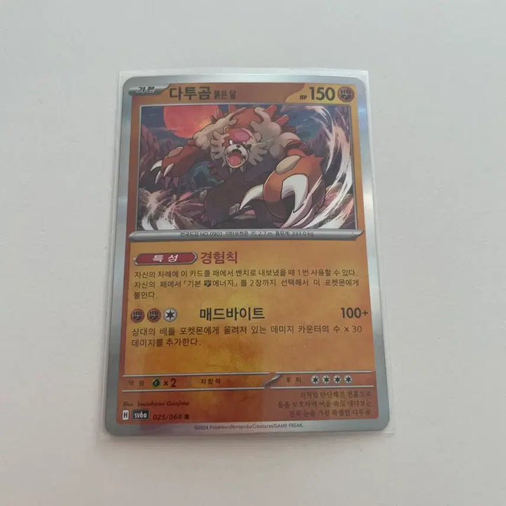 [BUNJANG] Pokemon Ursaluna Bloodmoon Card / 포켓몬 다투곰 붉은달 카드